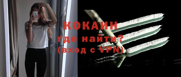 молекула духа Арсеньев