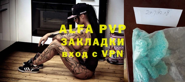 молекула духа Арсеньев