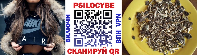 Псилоцибиновые грибы мицелий  blacksprut вход  Мосальск 